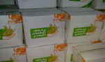 The old design of the egyptien food bank' s box